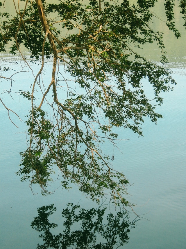 Warum 'Work-Life-Balance' der falsche Begriff ist